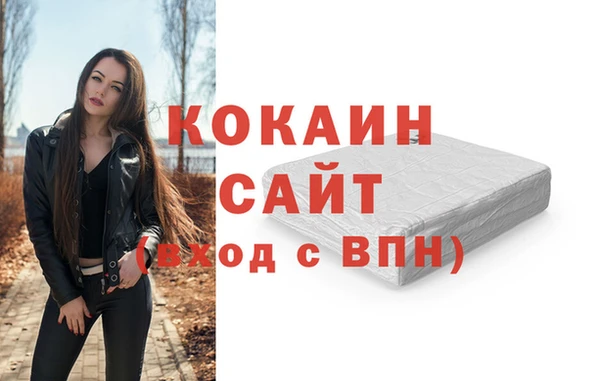 стаф Каменногорск
