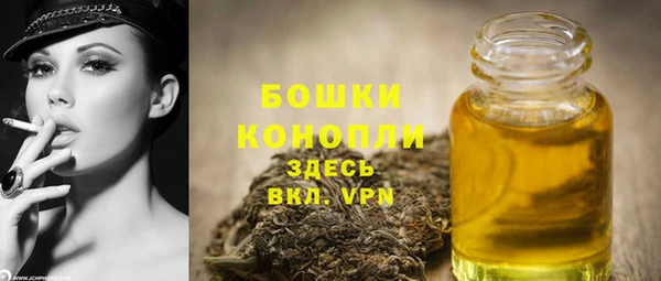 стаф Каменногорск