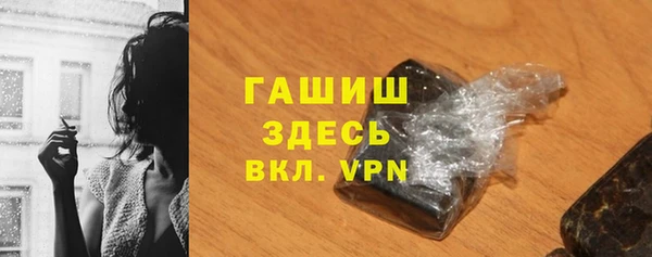 стаф Каменногорск