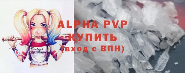 стаф Каменногорск