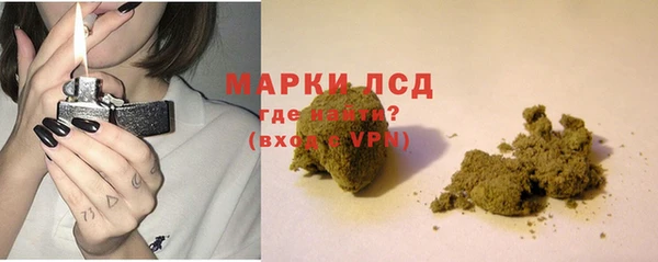стаф Каменногорск