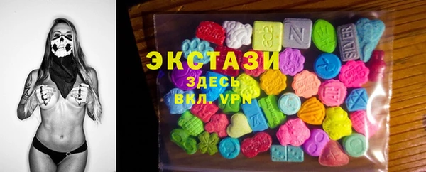 стаф Каменногорск