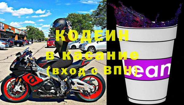 стаф Каменногорск